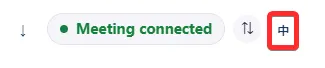 Language setting in Settings Panel